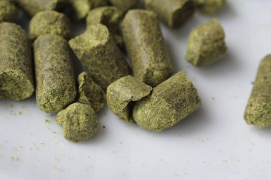 Beyaz tabakta sıkıştırılmış Hop topaklarına aşırı yakın çekim, seçici odaklanma. Bira demleme malzemesi.