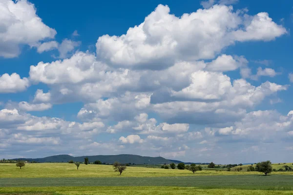 Tarweveld Bewolkte Hemel Foto — Stockfoto