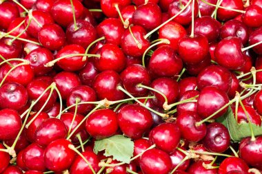 Kırmızı böğürtlen, kırmızı kiraz fotoğrafları