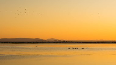 arkaplan için çeşitli gün batımı fotoğrafları