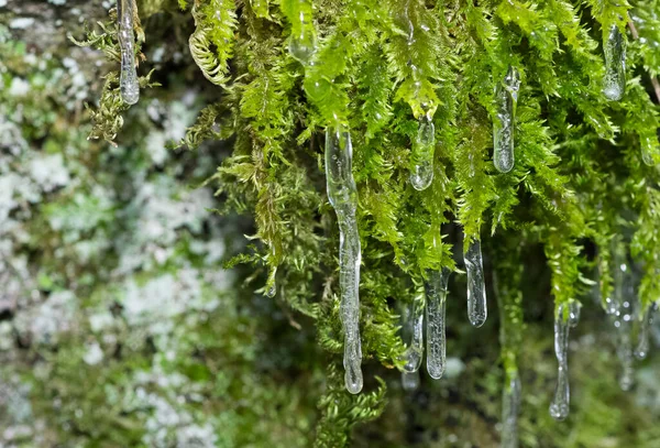 Formes Intéressantes Créées Par Glace Hiver — Photo