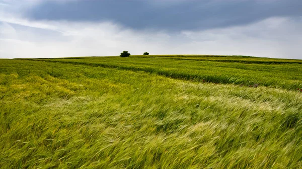 Diverse Landschapsfoto Voor Achtergrond — Stockfoto