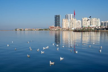 20 Ağustos. İzmir hindisi. İzmir sahili. editoryal fotoğrafçılık.