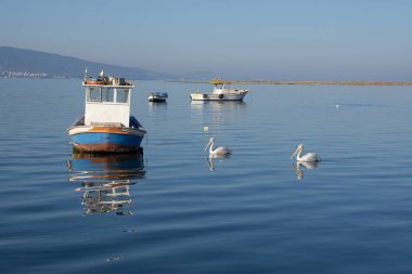 20 Ağustos. İzmir hindisi. İzmir kıyıları ve balıkçı tekneleri. editoryal fotoğrafçılık.