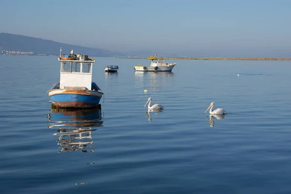 Augusti 2020 Izmir Kalkon Izmirkusten Och Fiskebåtar Redaktionell Fotografering — Stockfoto