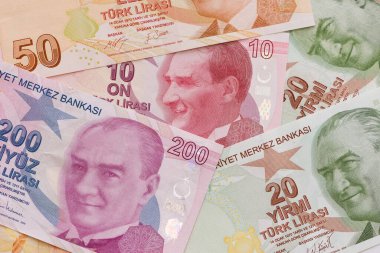 Eylül 2020. İzmir hindisi. Türk Lirası fotoğrafları. editoryal fotoğrafçılık.