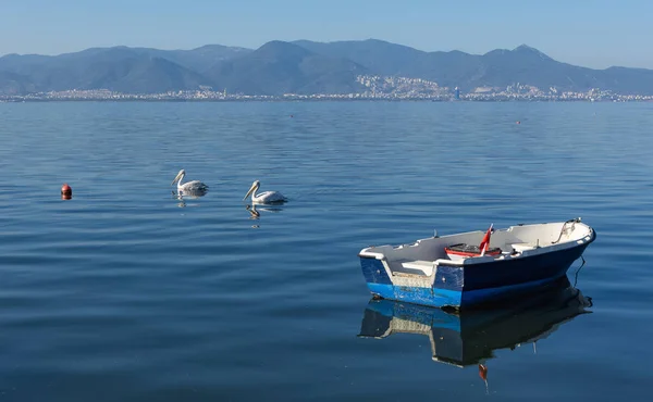 Denizde Balıkçı Tekneleri Pelikanlar Denizde Yüzüyor — Stok fotoğraf