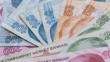 20 Ağustos. İzmir hindisi. Türk Lirası fotoğrafları. editoryal fotoğrafçılık.