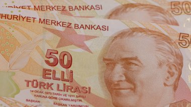 20 Ağustos. İzmir hindisi. Türk Lirası fotoğrafları. editoryal fotoğrafçılık.