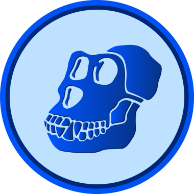 maymun sikkesi vektör çizimleri. 3 boyutlu illüstrasyon. vektör paraları.