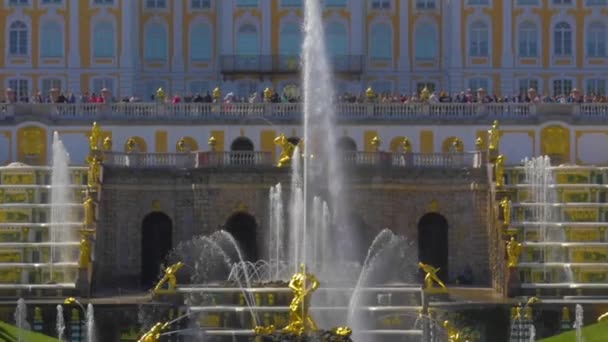 PETERHOFF PALACE FOUNTAIN, ST. PETERSBURG RUSSIA - 12. června 2017 — Stock video