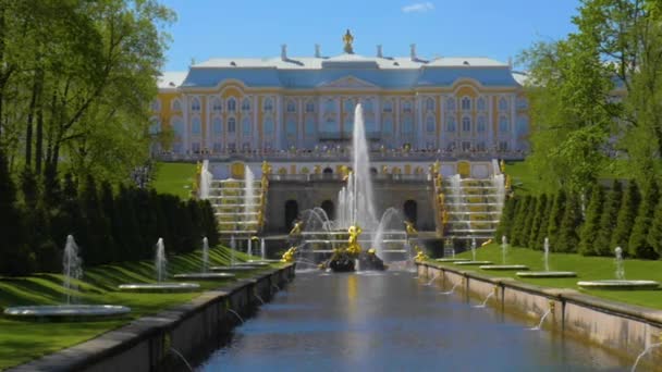 PETERHOFF PALACE, ST. PETERSBURG RUSIA - 12 DE JUNIO DE 2017 — Vídeo de stock