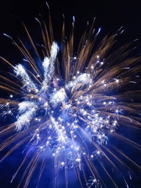 Gece gökyüzüne karşı ışıldayan havai fişekler. Kutlama için soyut arka plan Mutlu Noeller, doğum günleri, Zafer Günü, bağımsızlık, tatiller, kutlama, parti, festival, yeni yıl konsepti