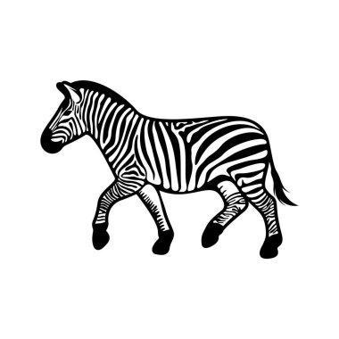 Beyaz arkaplanda izole edilmiş grafik zebra, Vektör illüstrasyonu, Şablon