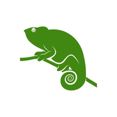 Bukalemun logo tasarım vektörü. Simge Sembolü. Şablon İllüstrasyonu