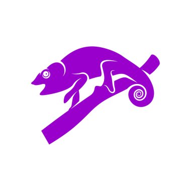 Bukalemun logo tasarım vektörü. Simge Sembolü. Şablon İllüstrasyonu
