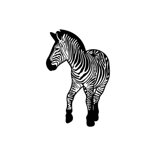 Graphical Zebra Isolated White Background Vector Illustration Template — Stock Vector