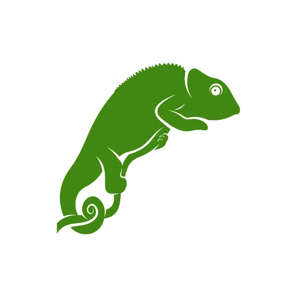 Vecteur Logo Caméléon Symbole Icône Illustration Modèle — Image vectorielle