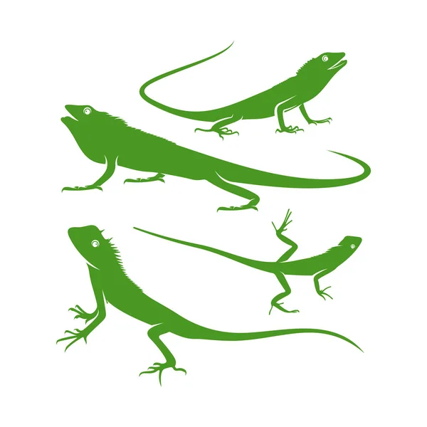Zestaw Wektora Projektowania Logo Kameleona Symbol Ikony Ilustracja Wzoru — Wektor stockowy