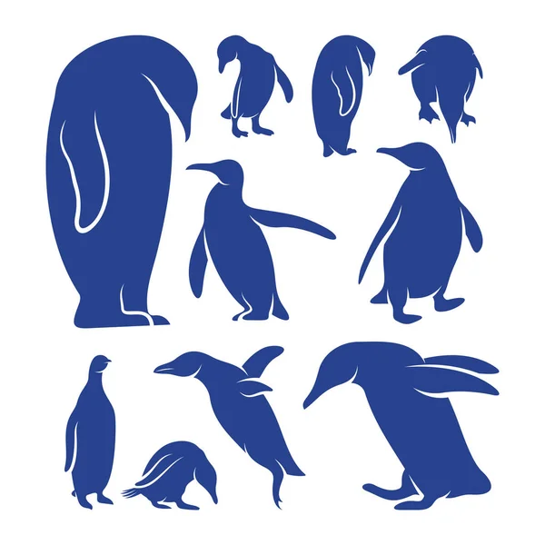 Pinguim Pássaro Logotipo Vetor Design Símbolo Ícone Ilustração Modelo —  Vetores de Stock