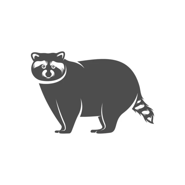 Racoon Logo Design Vector Símbolo Icono Ilustración Plantilla — Vector de stock