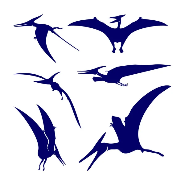 Conjunto Pterosaurs Logo Design Vector Símbolo Icono Ilustración Plantilla — Archivo Imágenes Vectoriales