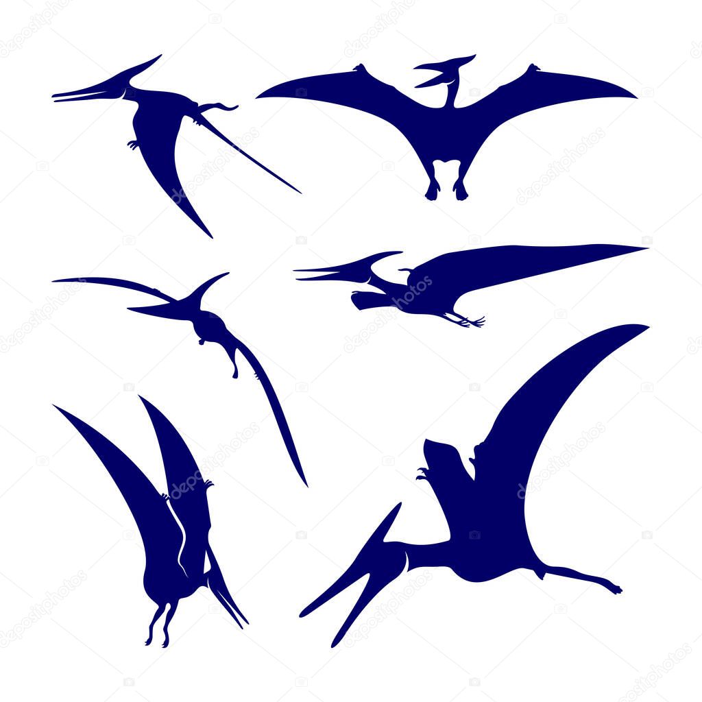 Set of Pterosaurs logo design vector. Icon Symbol. Template Illustration