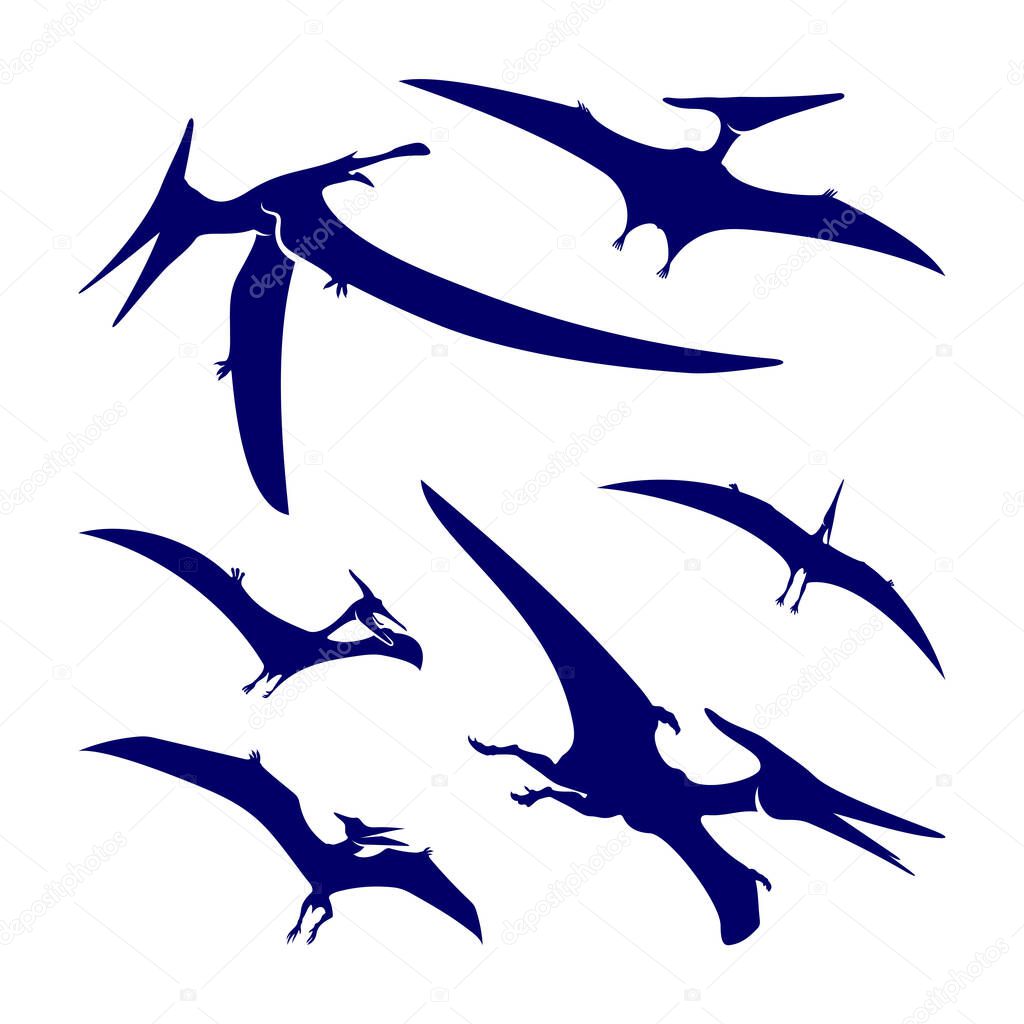 Set of Pterosaurs logo design vector. Icon Symbol. Template Illustration
