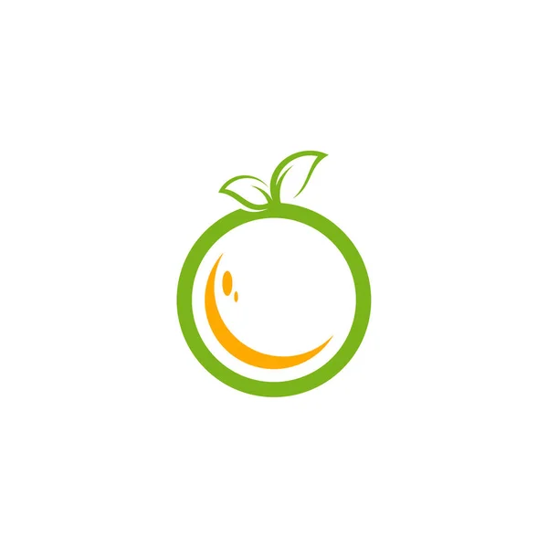 Modern Fresh Orange Logo Vector Illustration Fresh Orange Slice Logo — 스톡 벡터