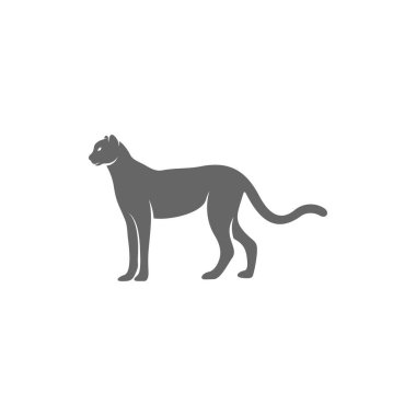 Çita logo şablonu vektör çizimi