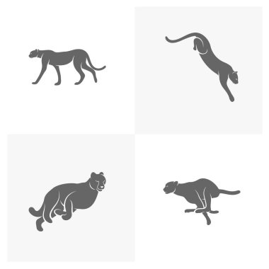 Çita logo şablon çizimi kümesi