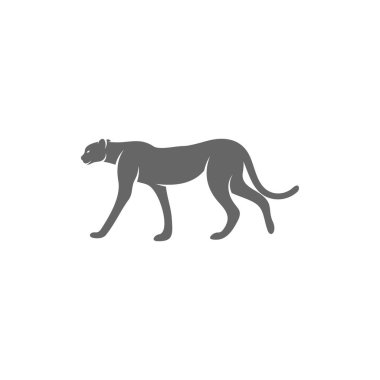 Çita logo şablonu vektör çizimi