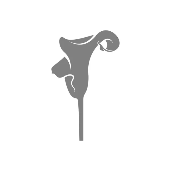 バラの花のデザインベクトルイラスト 花のロゴテンプレート — ストックベクタ