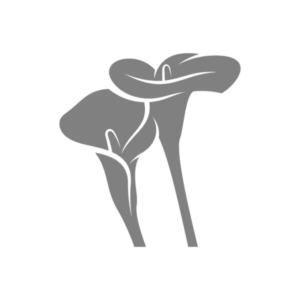 Ilustração Vetor Projeto Flor Rosa Modelo Logotipo Flor — Vetor de Stock
