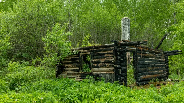 Verlaten Beschadigd Door Brand Hut Het Bos Met Een Schoorsteen — Stockfoto