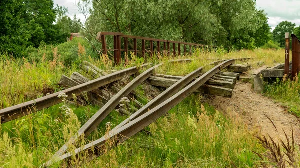 Een oude en gebroken overwoekerde spoorweg — Stockfoto