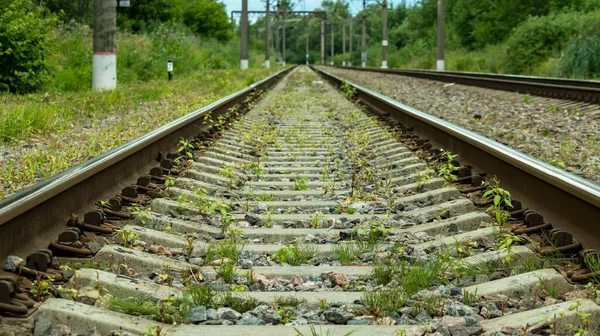 Vías Del Tren Eléctrico Día Soleado Brillante —  Fotos de Stock