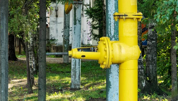 공원에 커다란 노란색 수송관 기중기 — 스톡 사진