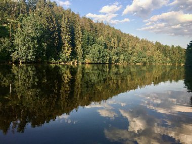 Nehirde bir orman yansıması
