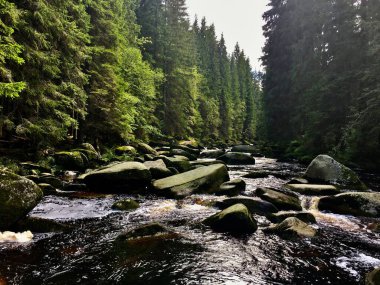 Çek Cumhuriyeti 'ndeki Ulusal Park