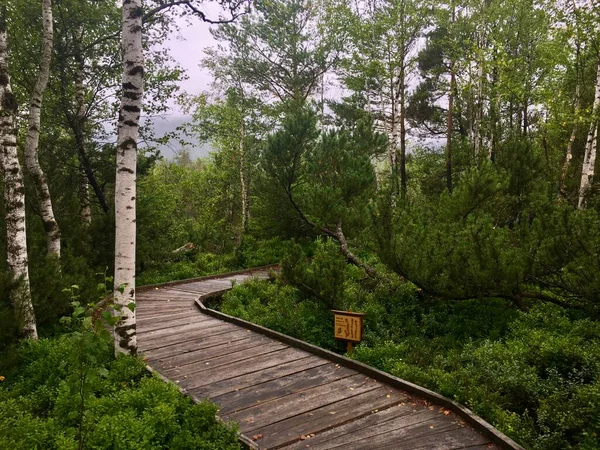 Národní Park České Republice — Stock fotografie