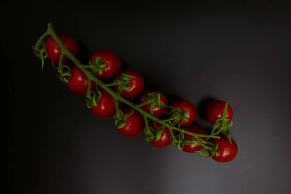 Tomates Cherry Todavía Panícula — Foto de Stock