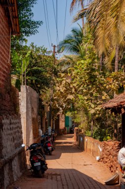 Hindistan 'ın Karnataka eyaletindeki Gokarna kasabasında küçük yeşil bir cadde.