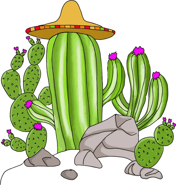 Kaktus Liebt Trockene Luft — Stockvektor