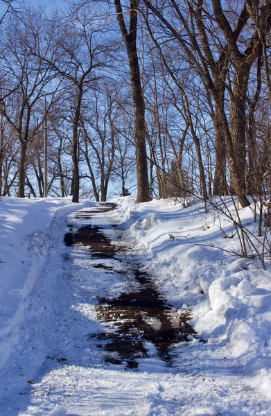 Vista Paisagem Uma Trilha Caminhada Coberta Neve Encosta Dia Ensolarado — Fotografia de Stock