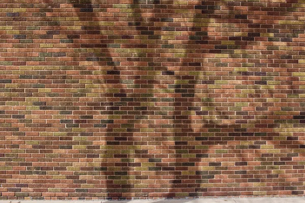 Brick Wall Texture Background Beautiful Earth Tone Textured Bricks Shades — Stock Photo, Image