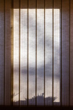 Dikey jaluzileri olan ve şeffaf ağaç gölgelerini aydınlatan modern bir pencerenin içerisindeki soyut görünüm