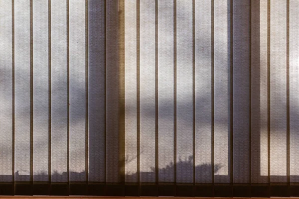 블라인드가 현대식 안쪽의 실내경치는 반투명 그림자가 햇빛을 투과하고 — 스톡 사진