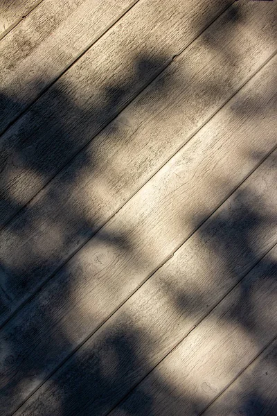 Texture Abstract View Tree Shadows Siding Residential Home — Stock Photo, Image