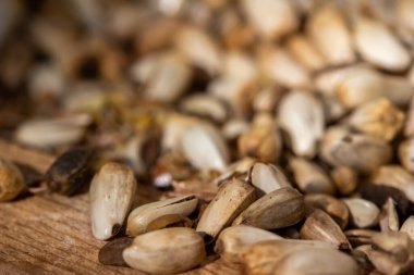 Ahşap bir kuş besleyicisinde safran tohumunun tam kare makro doku arka planı, kopyalama alanı ile